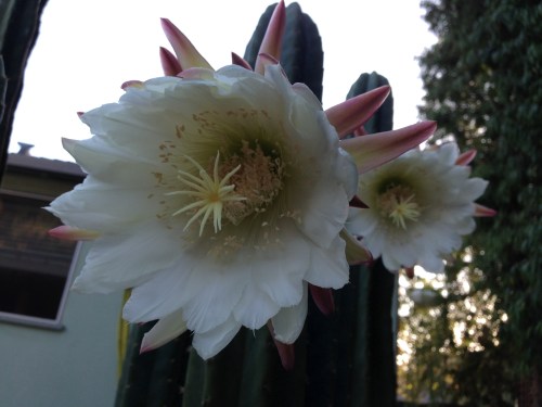 amazing sight to wake up to